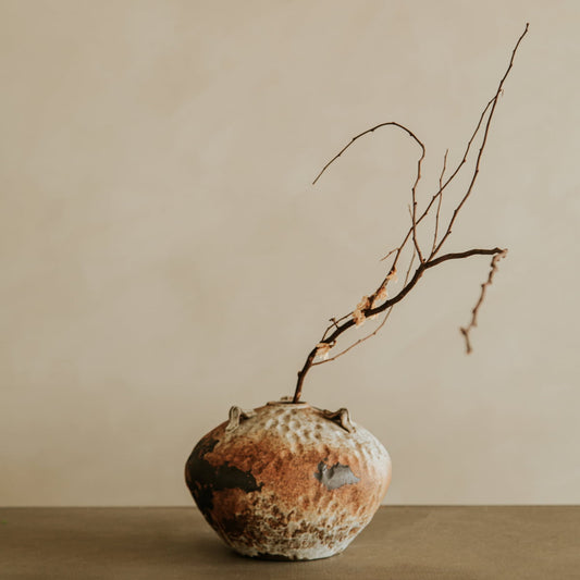 The Ishi ceramic vase, with its rustic texture, holds a few bare twisted branches against a plain beige background.