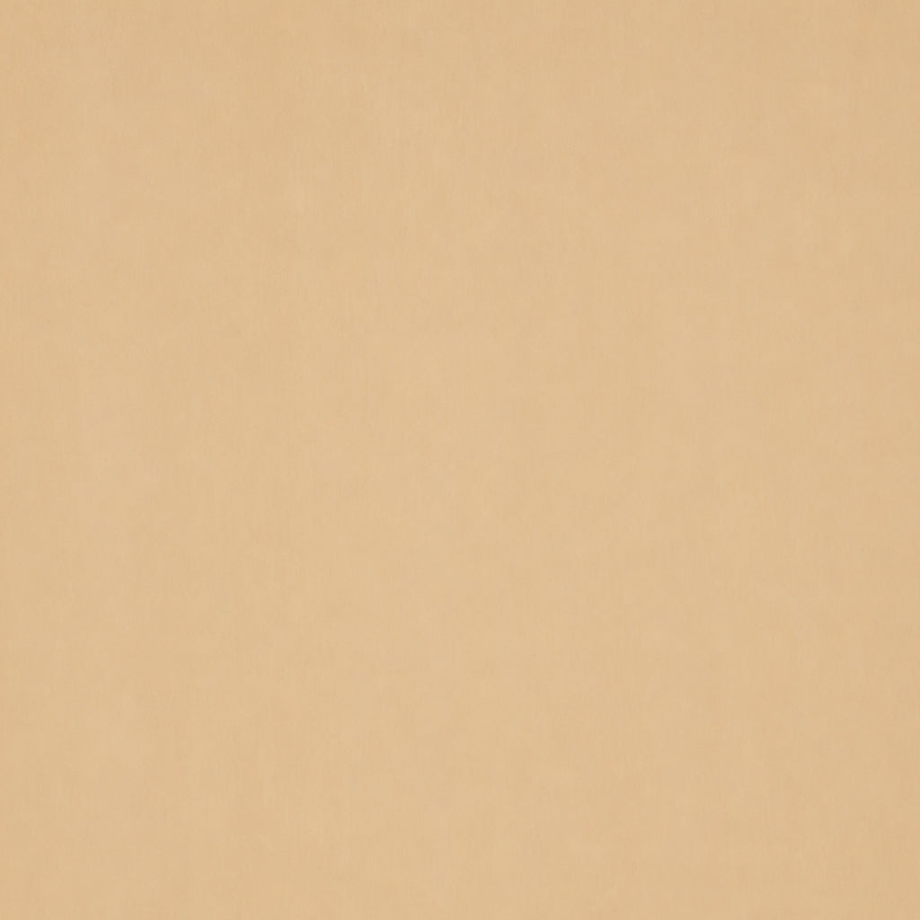 WOOD + CANE / ASHWOOD
