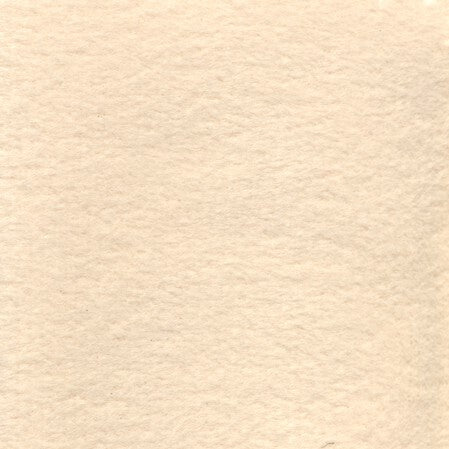 VELVET / BIRCH