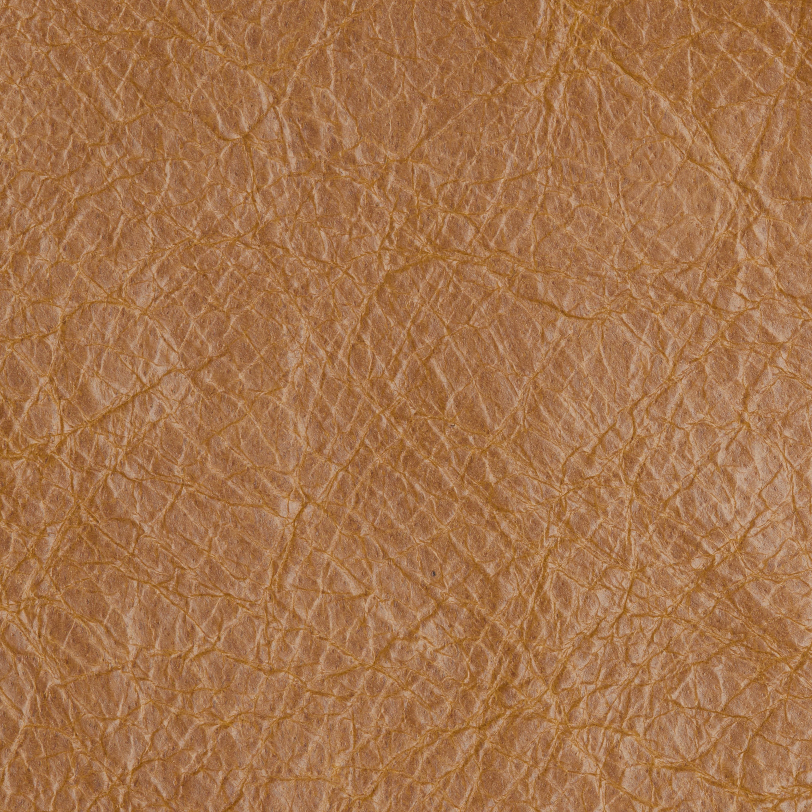 VINTAGE LEATHER / BUCKWHEAT