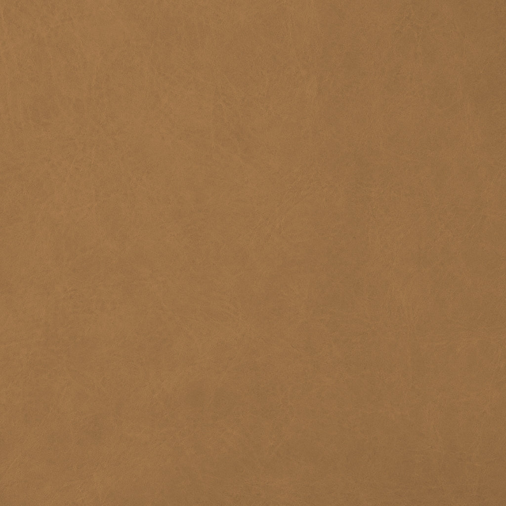 VINTAGE LEATHER / CAMEL