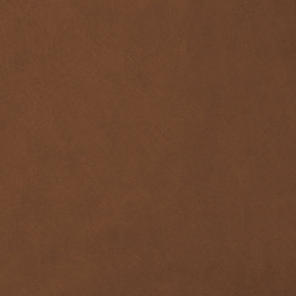 VINTAGE LEATHER / CIDER
