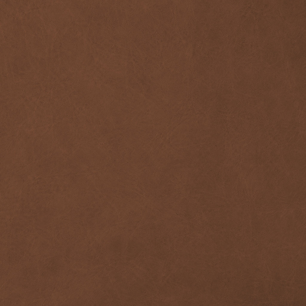 VINTAGE LEATHER / CINNAMON