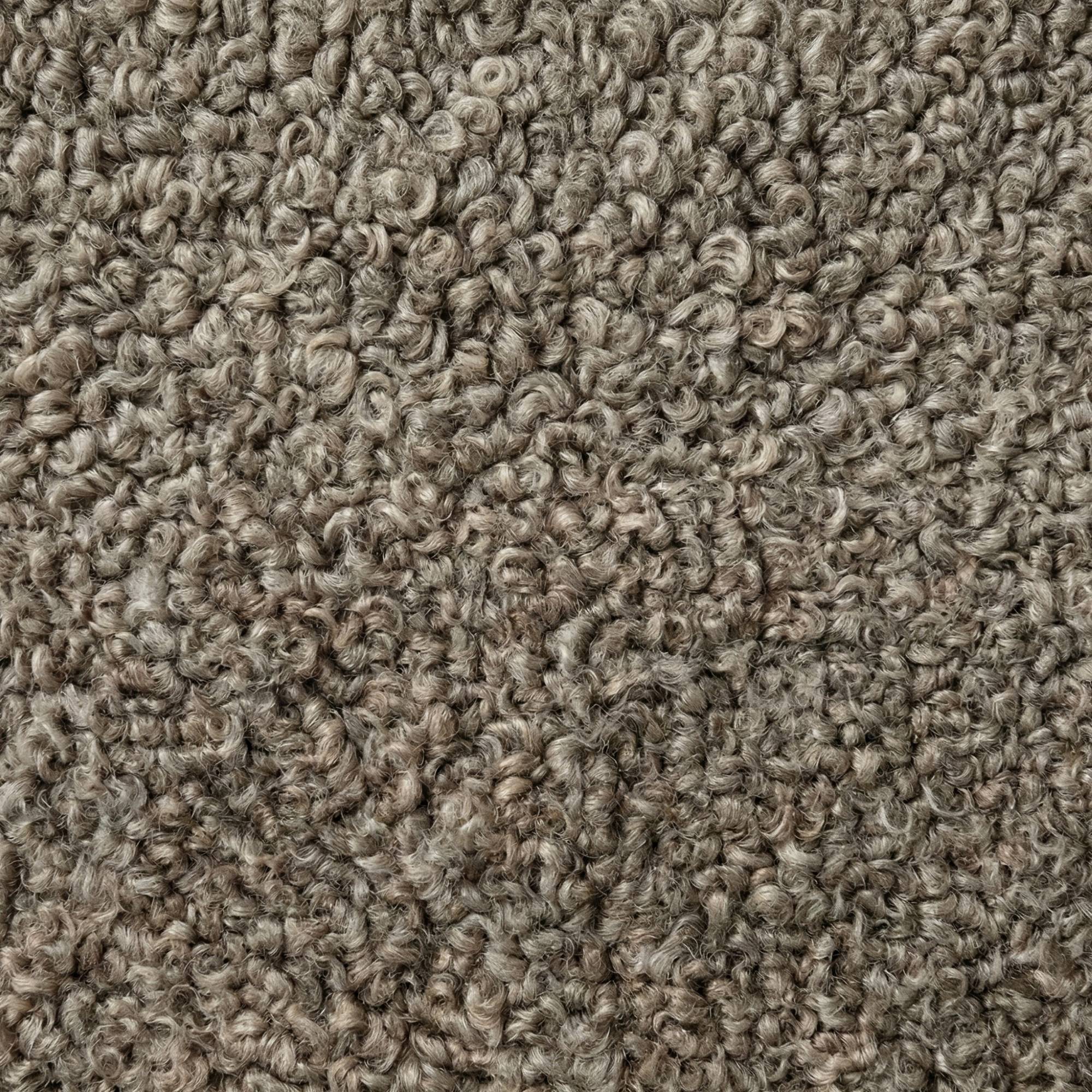 Bouclé / FUSCOUS