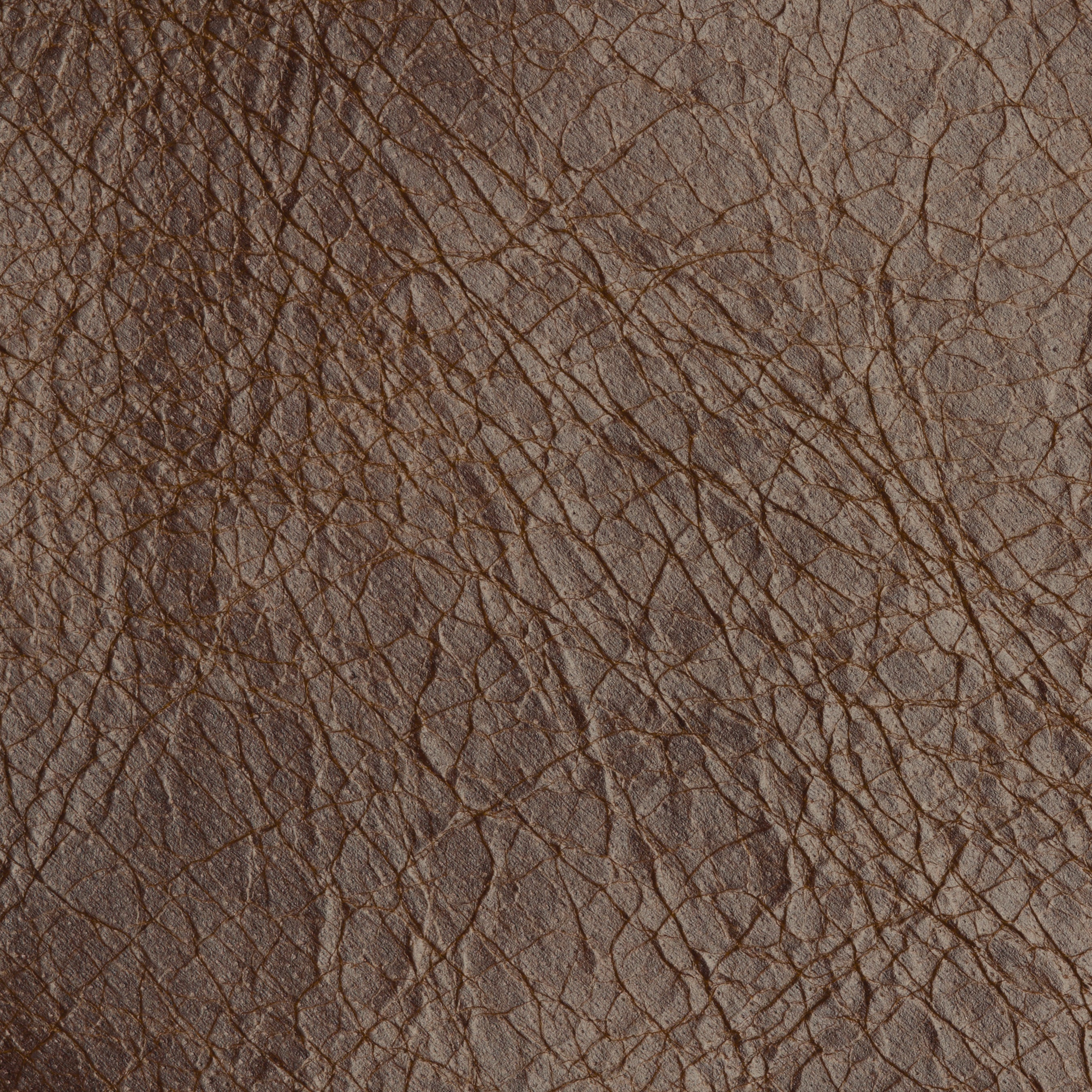 VINTAGE LEATHER / GINGERBREAD