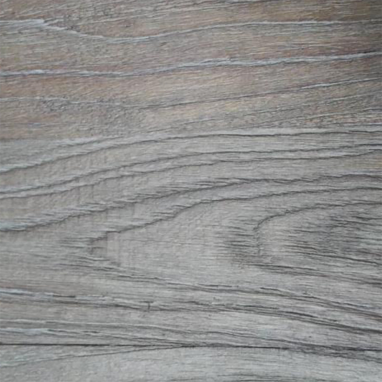 ELM WOOD / MUIR