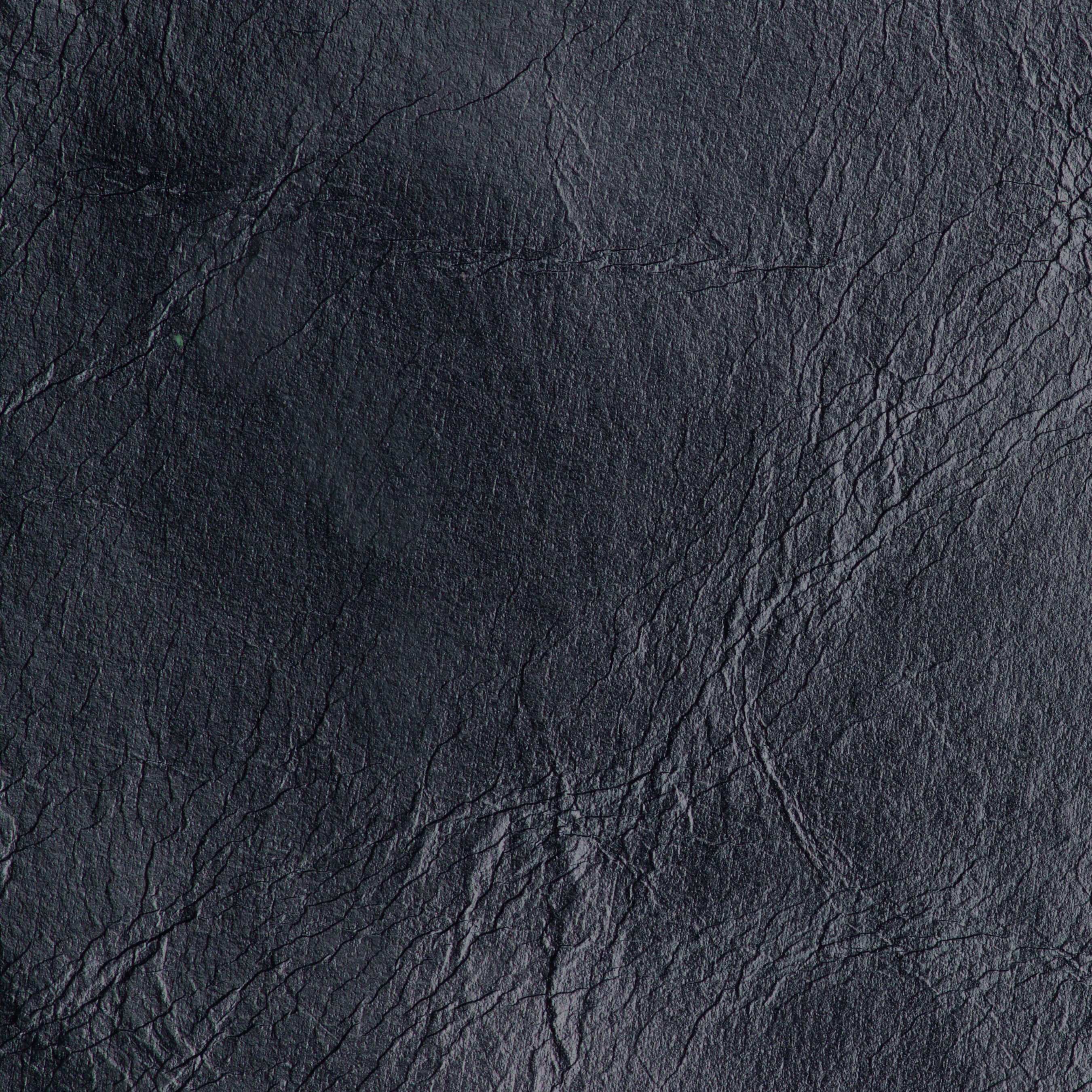 VINTAGE LEATHER / NEPTUNE