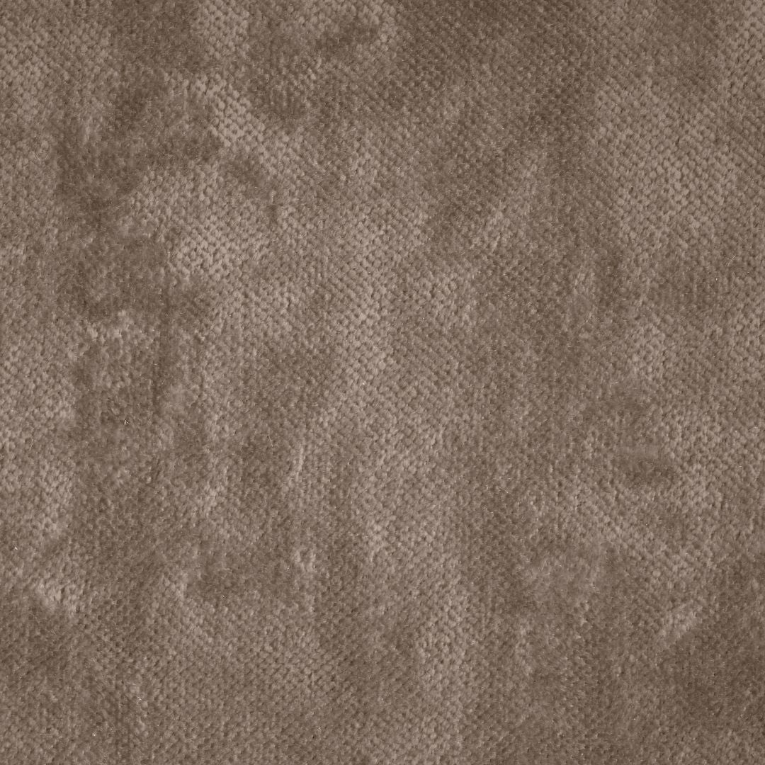 Velvet / NOISETTE