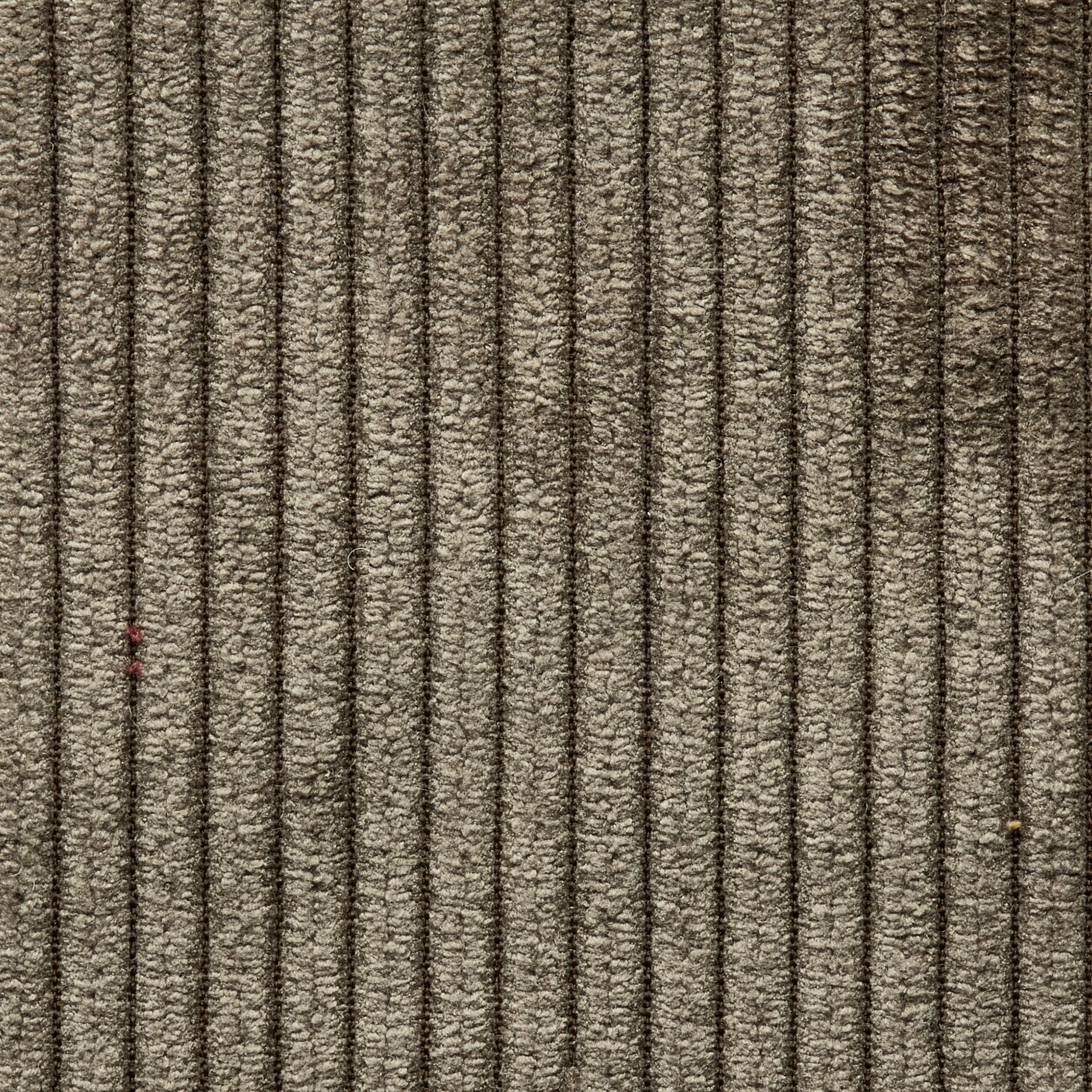 CORDUROY / OAK