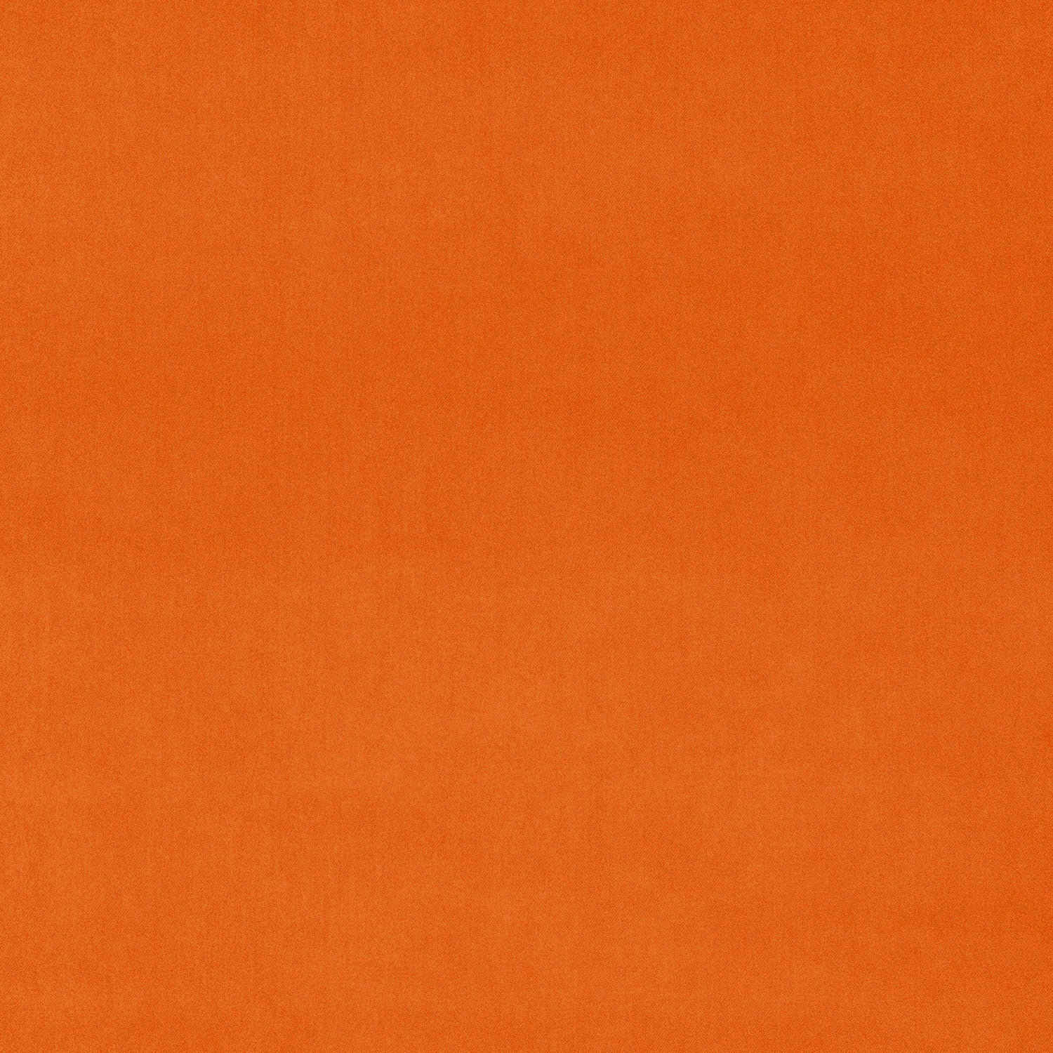 ORANGE CASHMERE