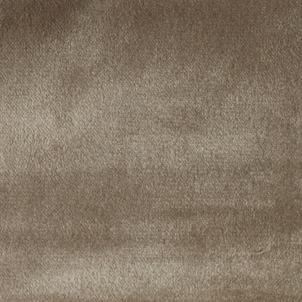 VELVET / OX