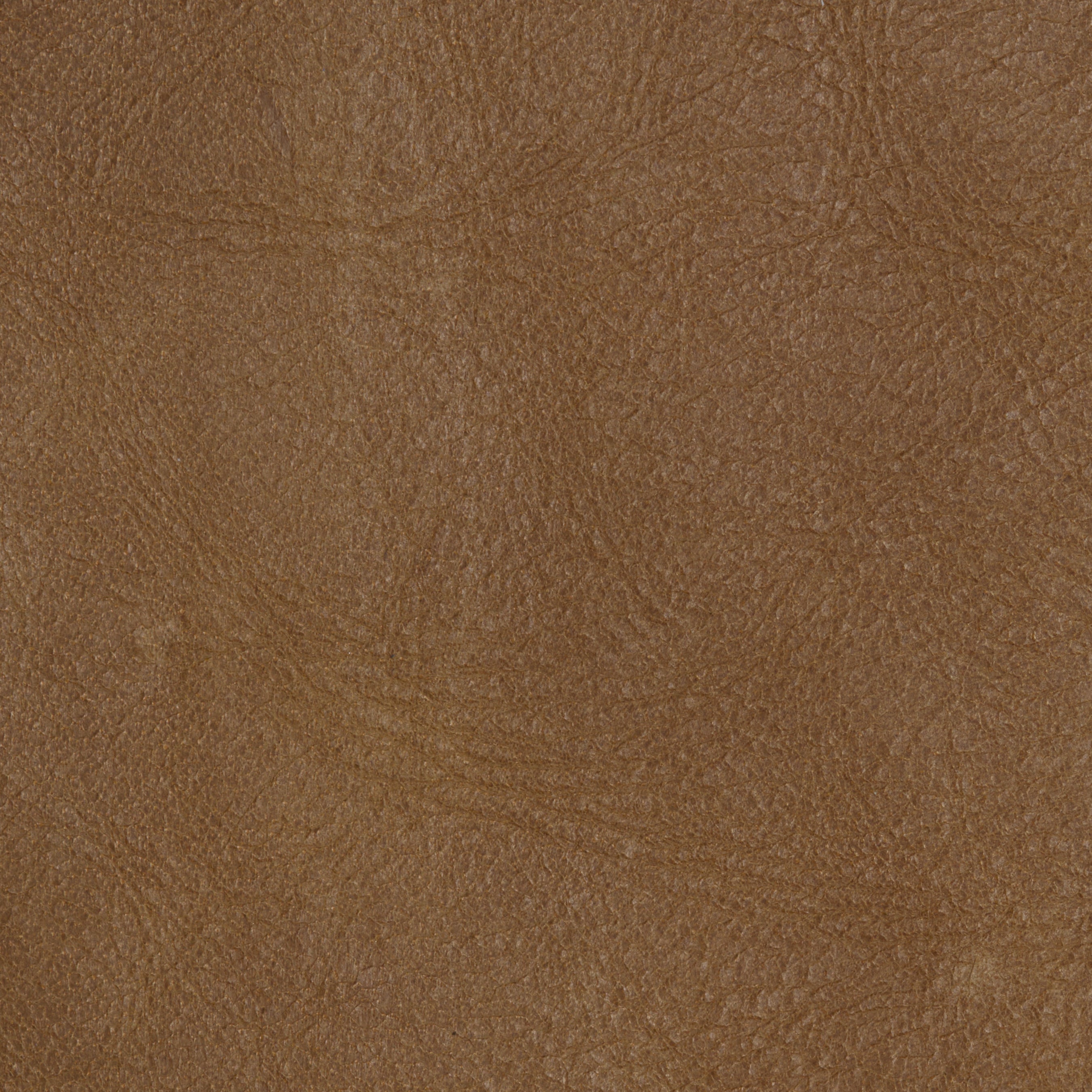 VINTAGE LEATHER / PANGOLIN