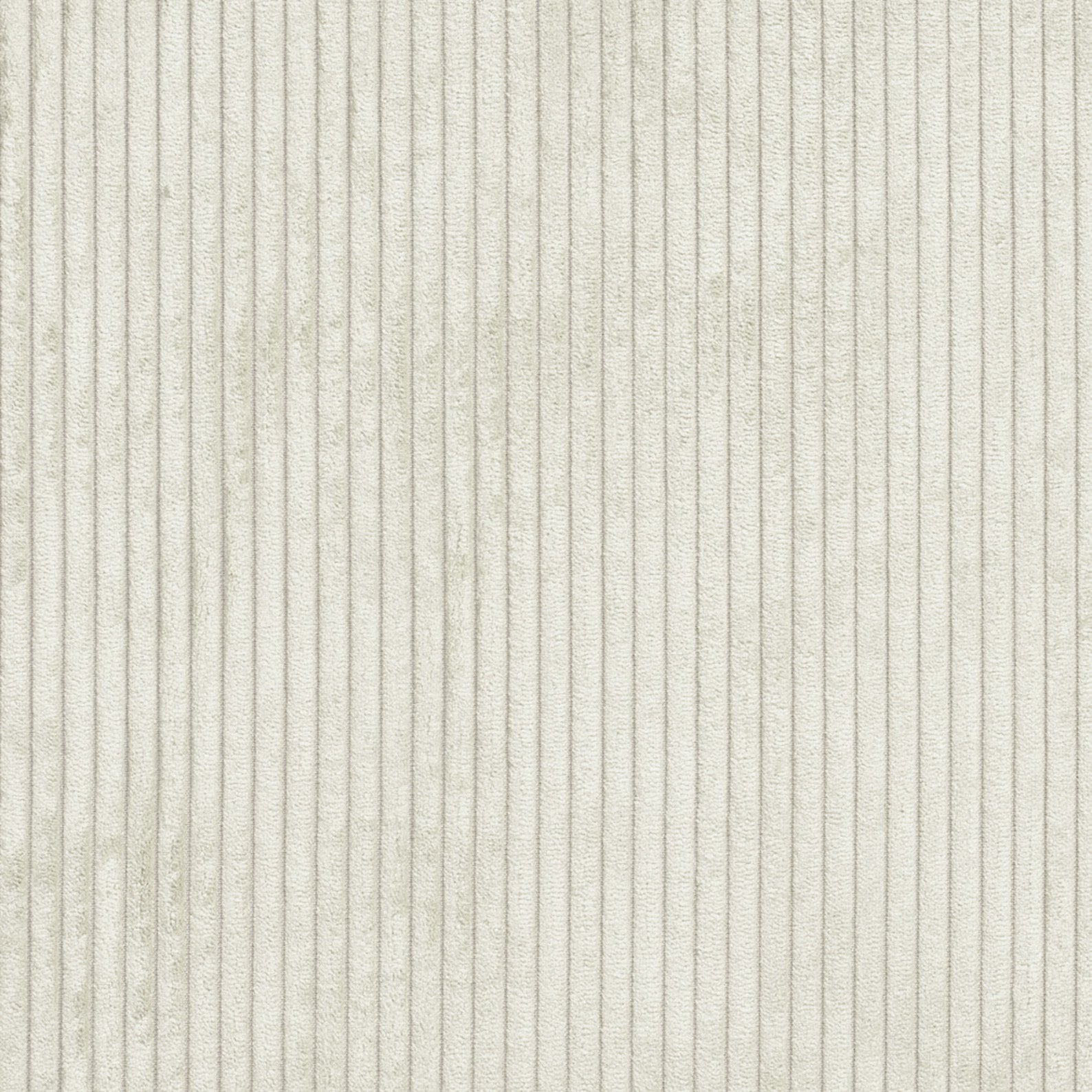 CORDUROY / PEARL