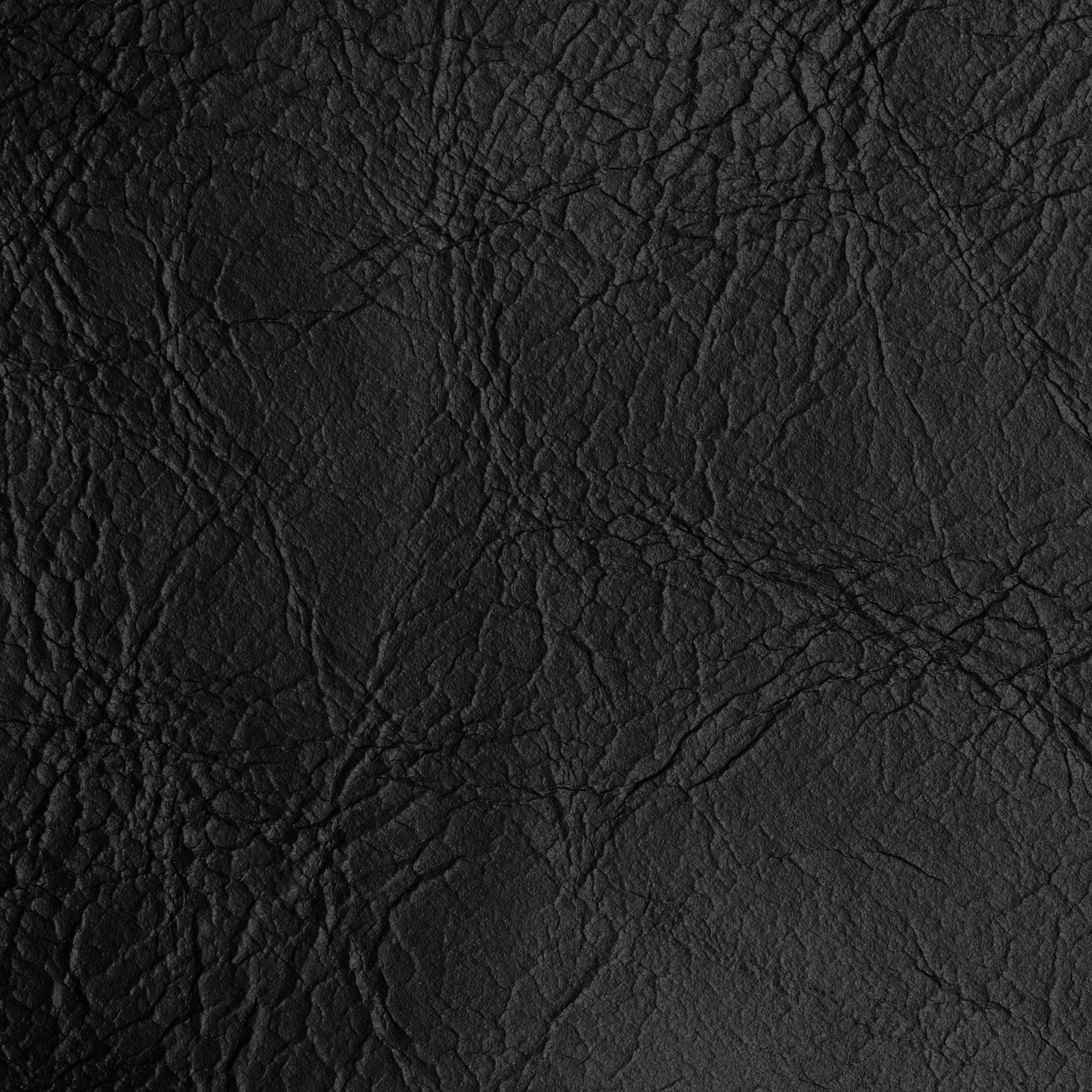 VINTAGE LEATHER / RAVEN