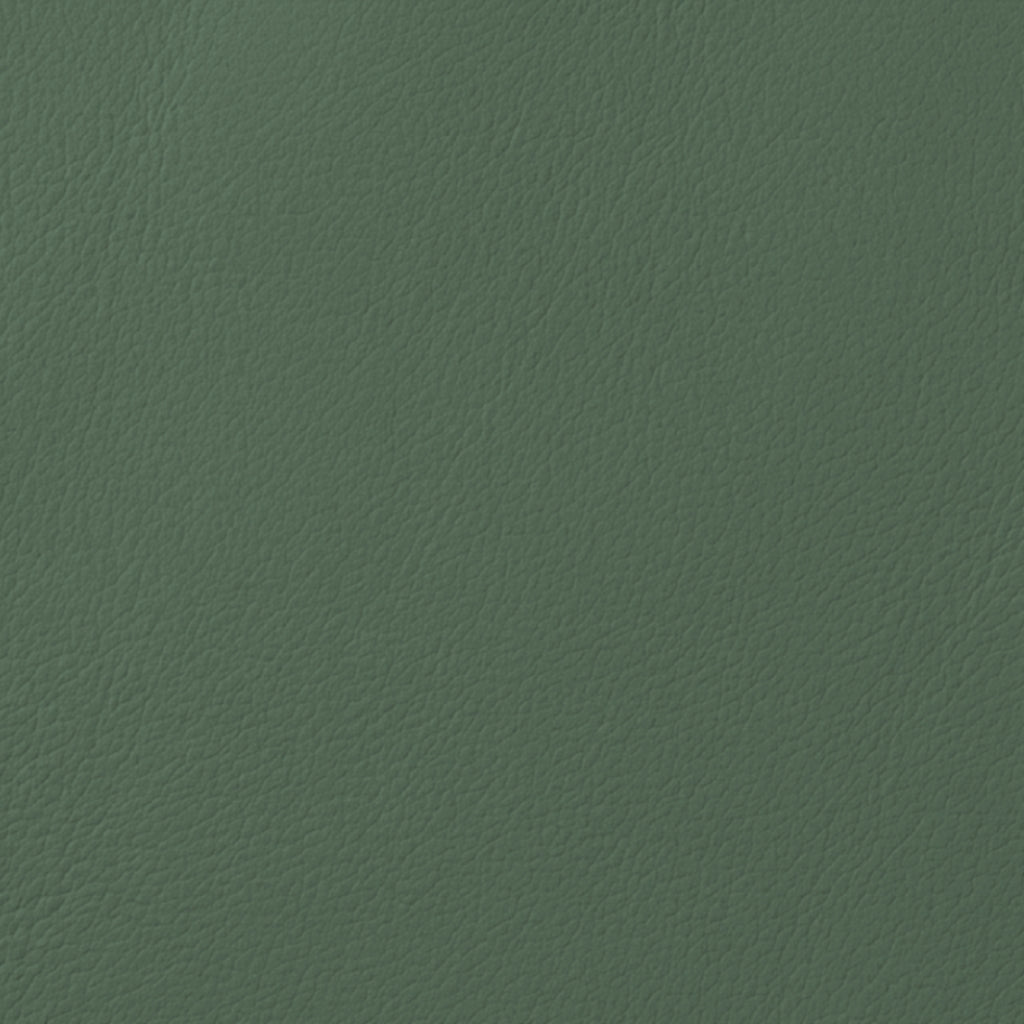 METALLIC STEEL / REGENT