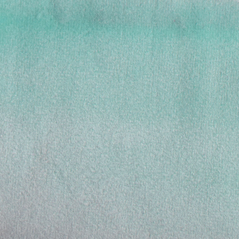 VELVET / ROBINSEGG