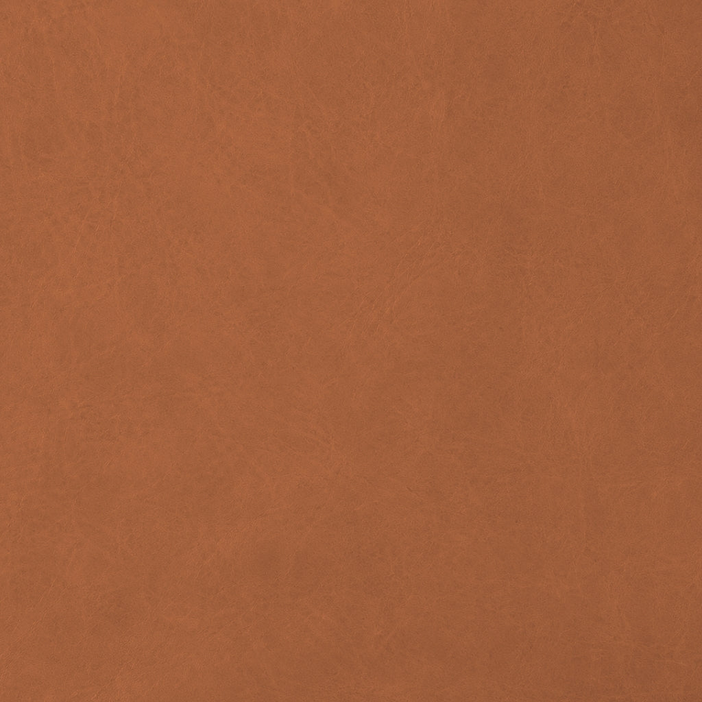 VINTAGE LEATHER / SADEL PATINA