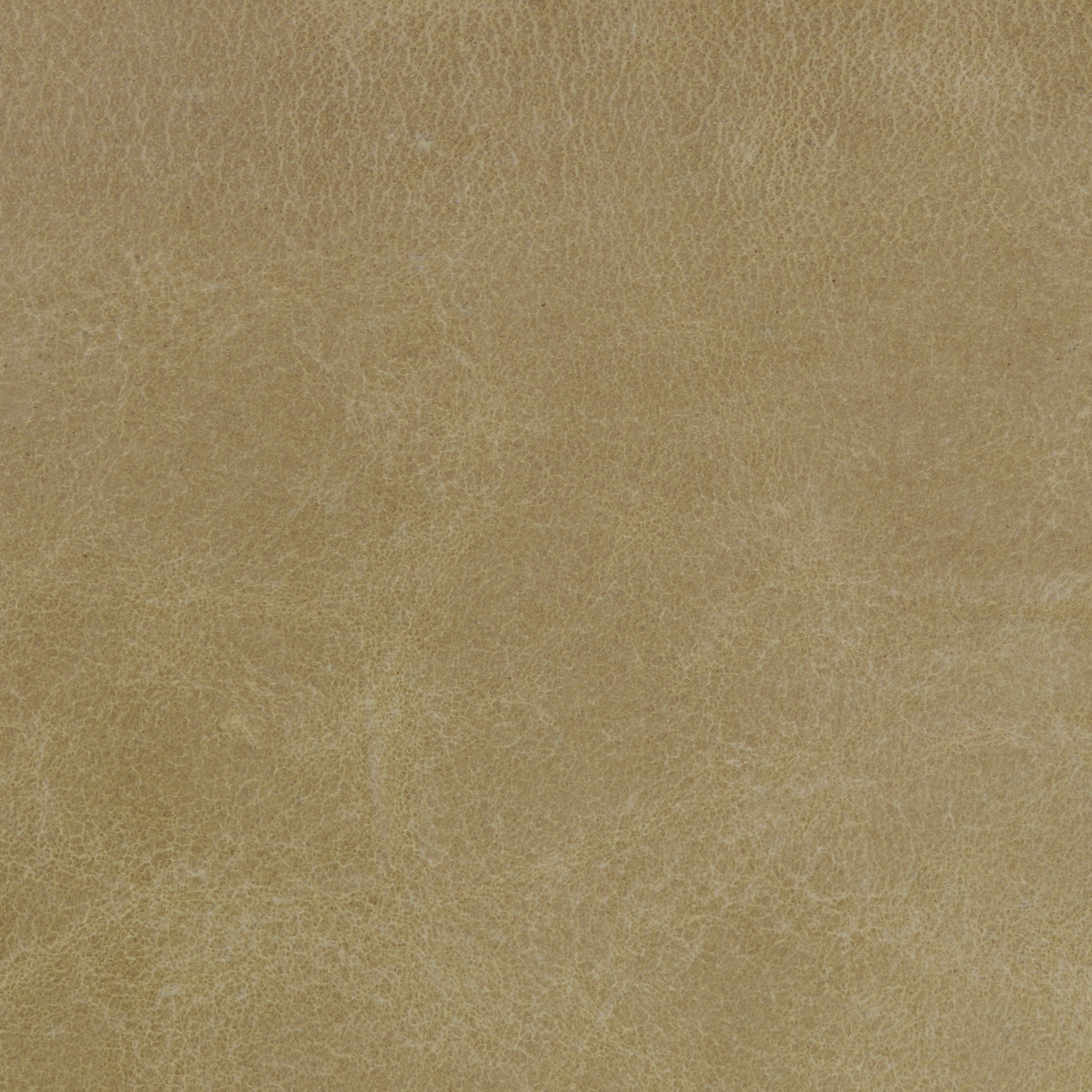 VINTAGE LEATHER / SEMOLINA