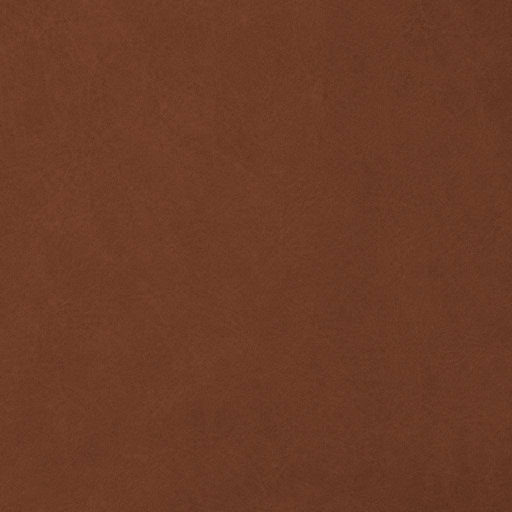 VINTAGE LEATHER / SIENNA