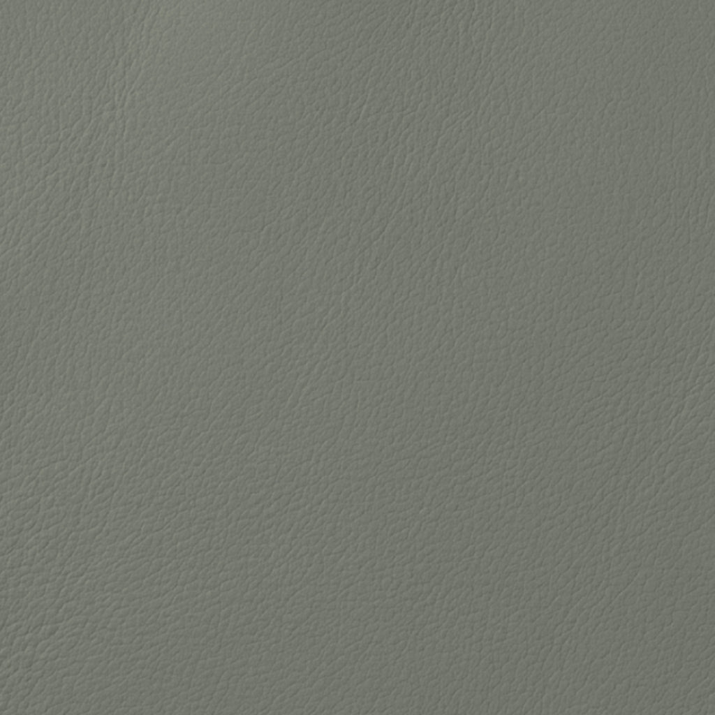 METALLIC STEEL / SILVER FJORD