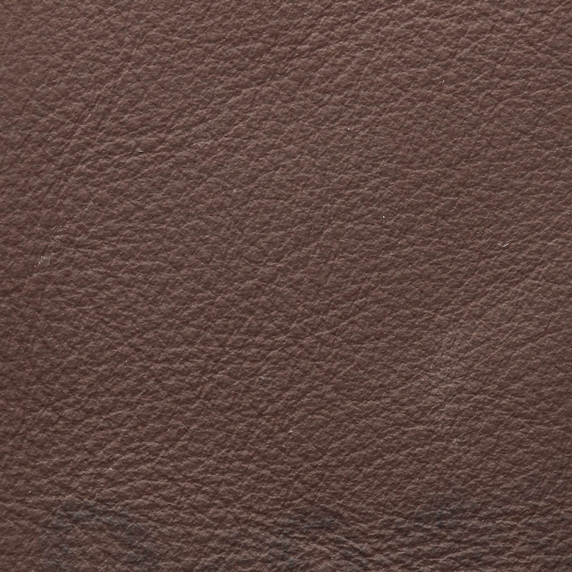 ITALIAN LEATHER / SYRUP
