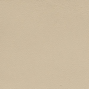 ITALIAN LEATHER / TAN