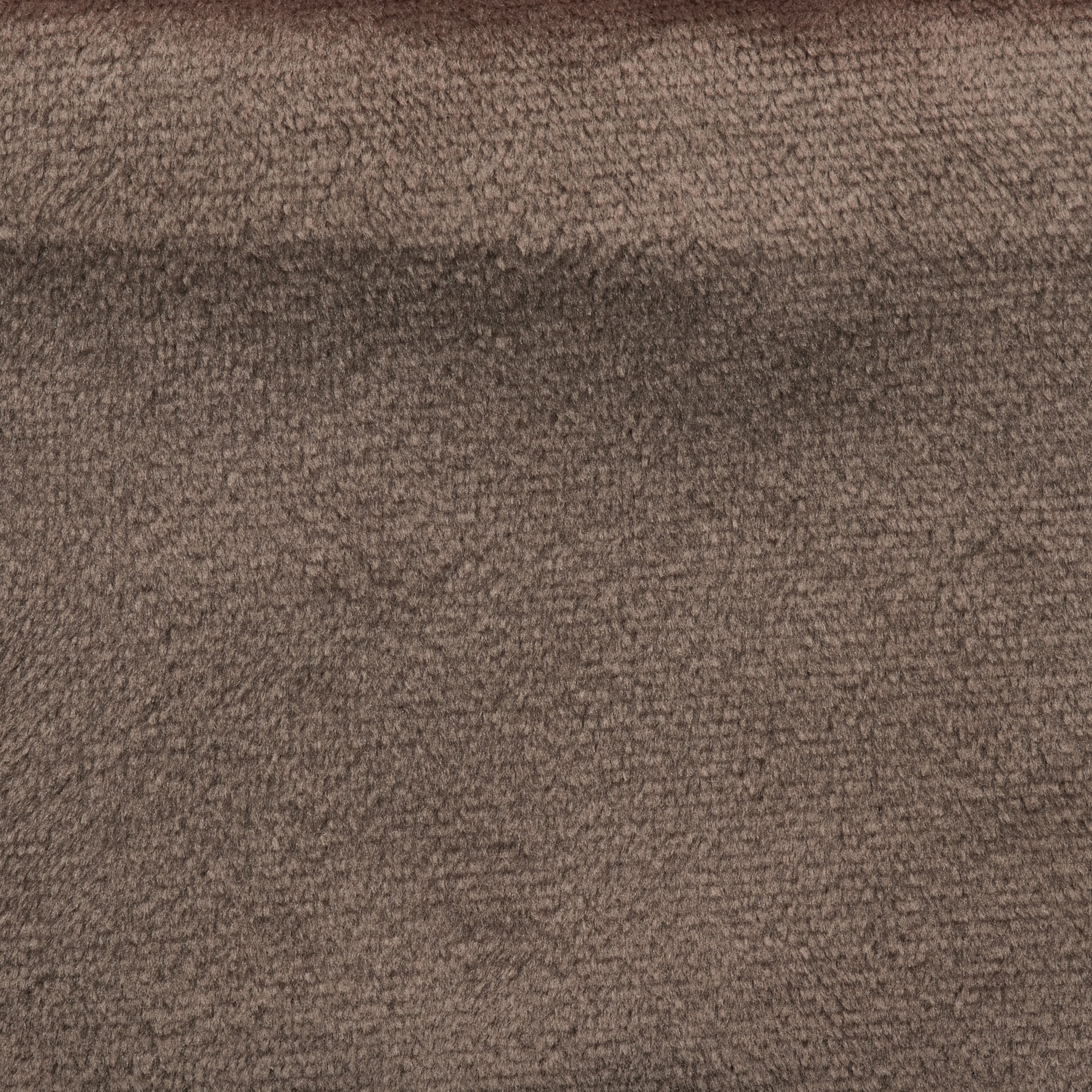 VELVET / UMBER
