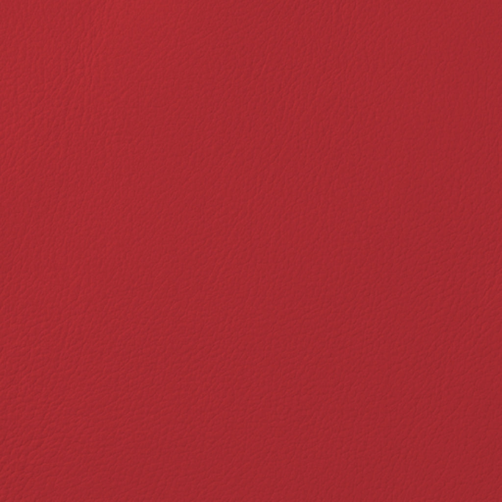 METALLIC STEEL / VELVET RUBY