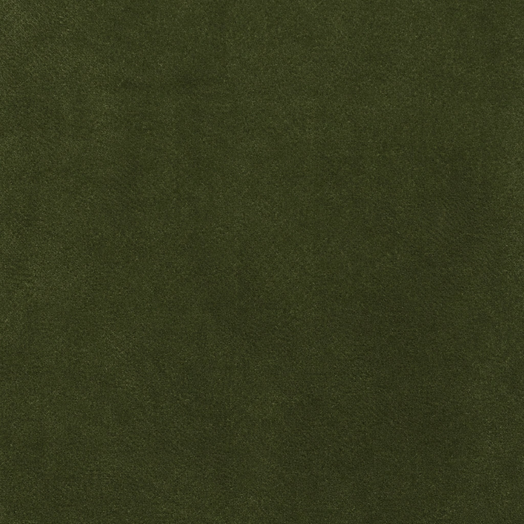 VELVET / VERDANT
